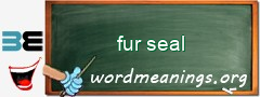 WordMeaning blackboard for fur seal